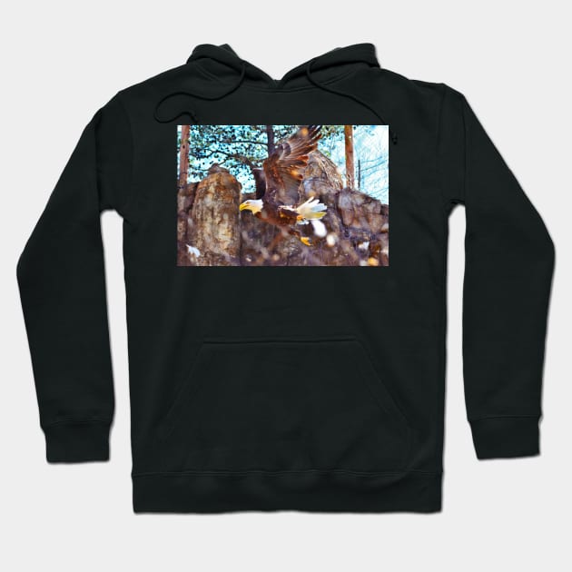 Soaring Eagle Hoodie by SAINTSPHOTOS